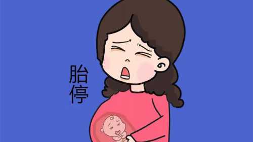 <b>广州世纪助孕生殖中心官网_上海世纪助孕是不是正规的,福州可不可以供卵试管</b>