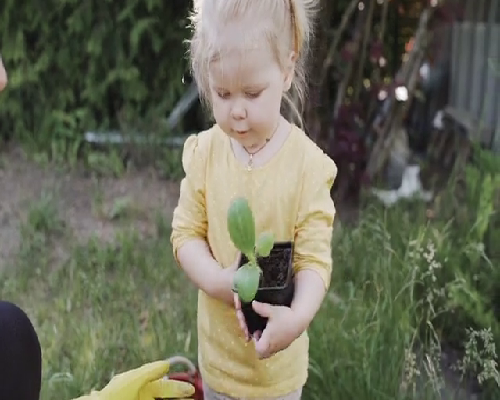 徐州试管代生包男孩_试管婴儿宝宝出生缺陷率高吗？