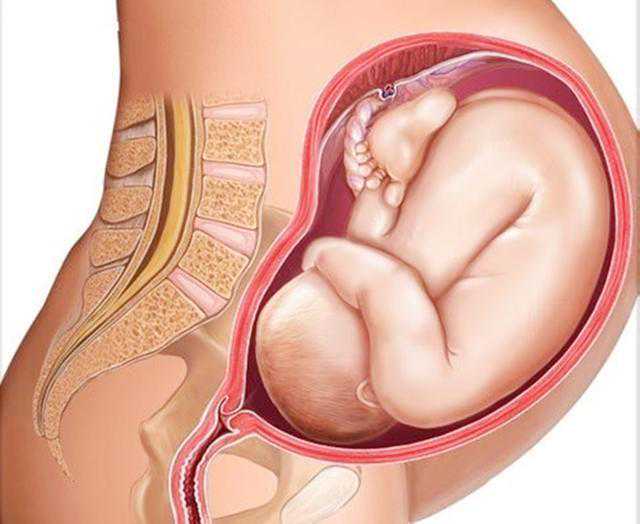三代试管贵在哪里_三代试管抽血验孕_Az86R_v34f5_桐城怀孕建档除了查血常规外还