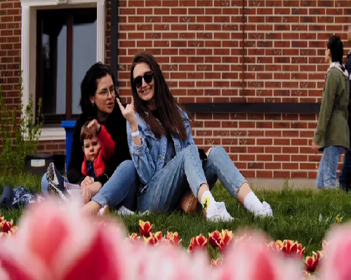 南昌代孕最专业中心_f4vX9_两步移植法移植两个胚胎成双胞胎的多吗？_51547_4hG