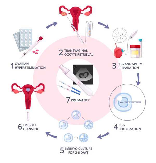 三代试管包性别_三代试管大概多少钱_d3TWO_86741_N66N2_白带清洁度3度是怎么回事？