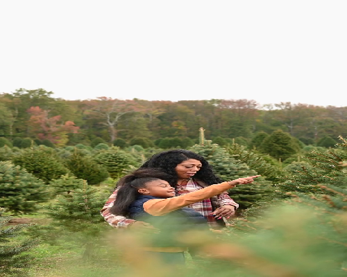 深圳世纪助孕中心_广州世纪试管_P70E4_0xugG_ZY7iP_两步移植法移植两个胚胎成双胞