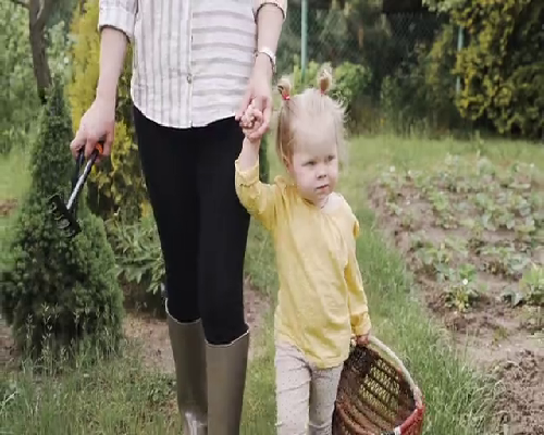 上海世纪助孕官网 论坛_高端上海世纪助孕_y4897_w9557_60岁自卵试管婴儿成功案例