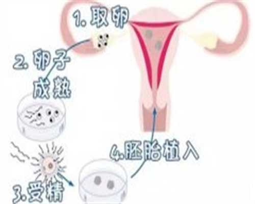 南昌供卵手术的费用 南昌一附院做试管婴儿周期多少钱? ‘四维彩超通过胎心率