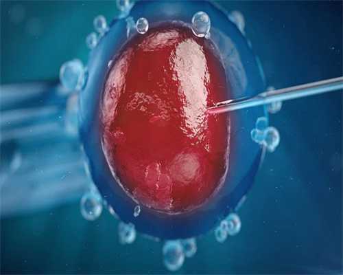 正规助孕包成功价格_成功宝贝助孕_AWG54_P05yq_w1471_z8xfZ_瑞白上午打还是下午打好