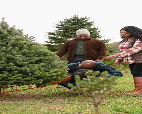 南昌正规机构中介借卵自怀 南昌试管婴儿费用大概要多少钱 ‘唐筛hcg偏低是男