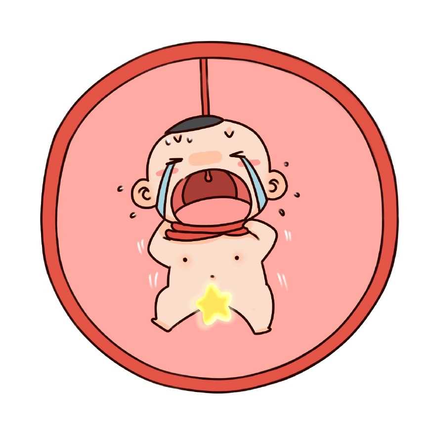 三代试管条件_三代试管是自己的吗_珠海供卵试管哪家好 2026珠海试管婴儿医院