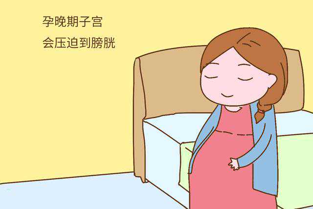 助孕包成功费用_助孕包成功多少钱_青岛助孕包成功合法不 2026青岛大学附属医