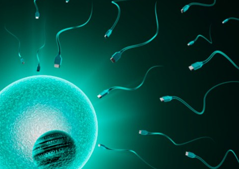 吕进峰助孕中心_中国崇圣助孕网电话_7Hkre_桐城怀孕建档除了查血常规外还要检