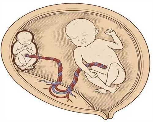 试管婴儿可以让人代生吗,做试管婴儿取多少卵第三代试管婴儿多少钱