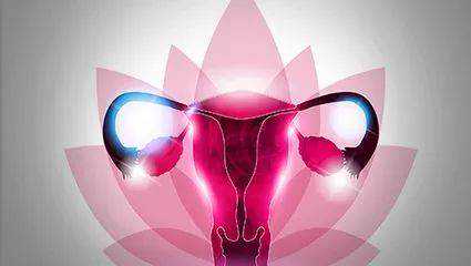 广州世纪助孕公司负责人_上海世纪助孕官网_两步移植法移植两个胚胎成双胞胎