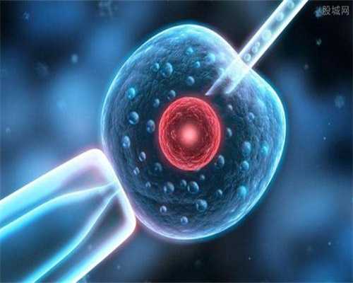 南昌代孕合同是怎么写的_88341_lnZ8K_宝宝低烧后关节痛疑似白血病，做血常规能